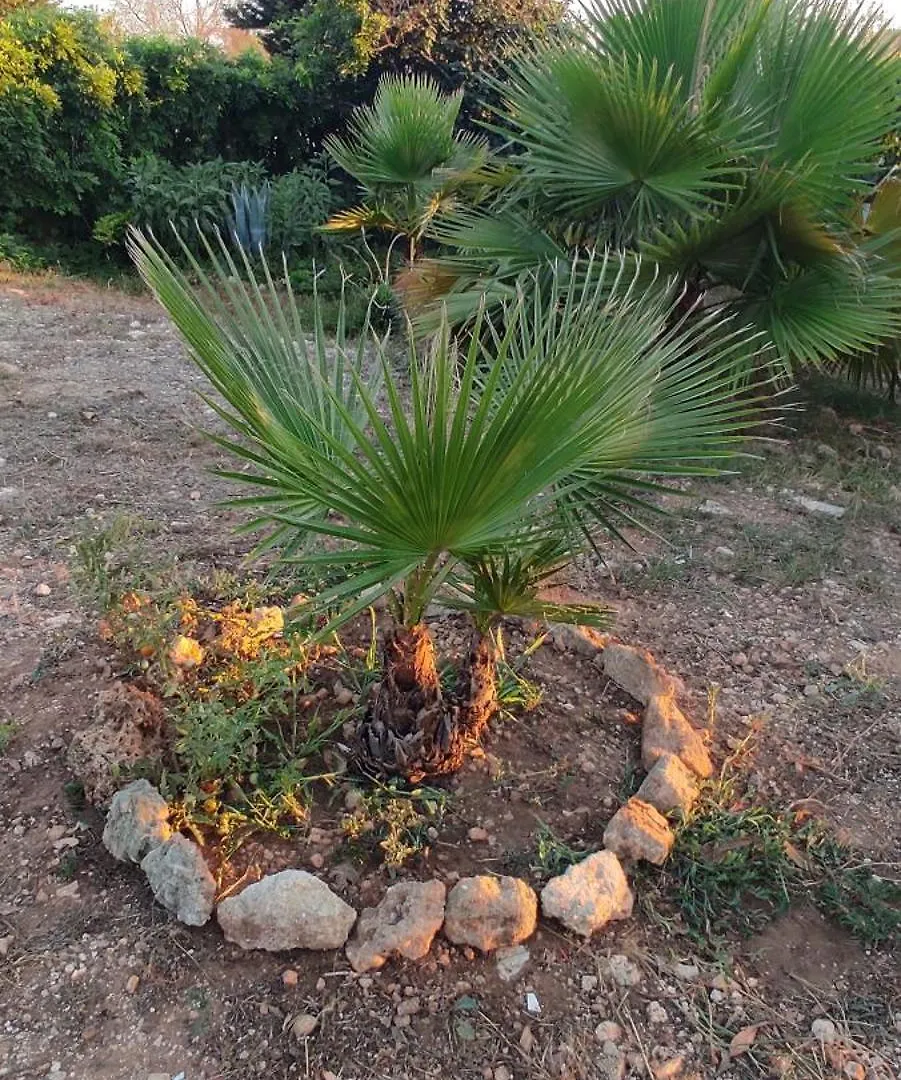 Il Giardino Del Sole Apartment Galatone